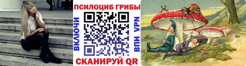 OMG ТОР  Сретенск  Галлюциногенные грибы GOLDEN TEACHER 